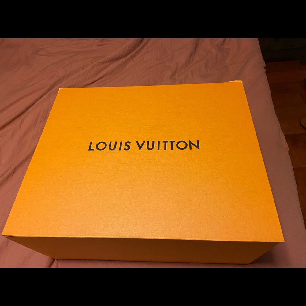 Louis Vuitton NEONOE monogram handbag